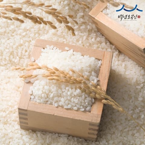 [오늘의집] 경기미 백진주쌀 10kg 25년산 단일품종 상등급 (31,509원/무료배송)