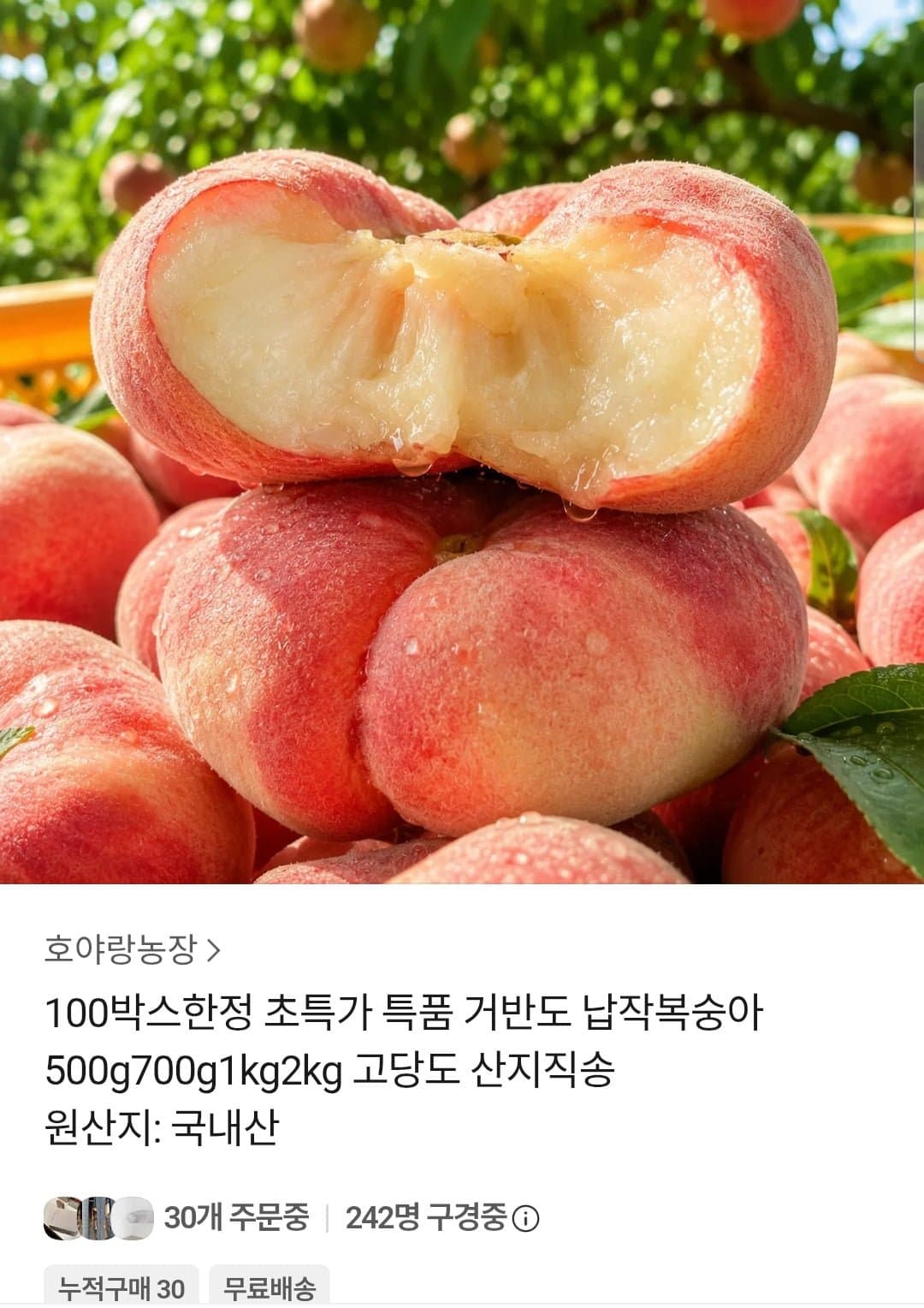 [톡딜]거반도 납작 복숭아 500g (11,190원 / 무배)