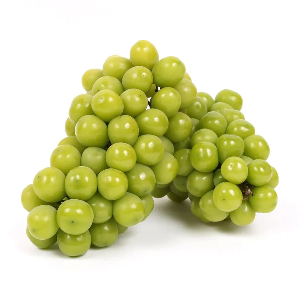 [29CM] 샤인머스켓 특품 1.3kg (2수) (13,900원/무료) (무료배송)