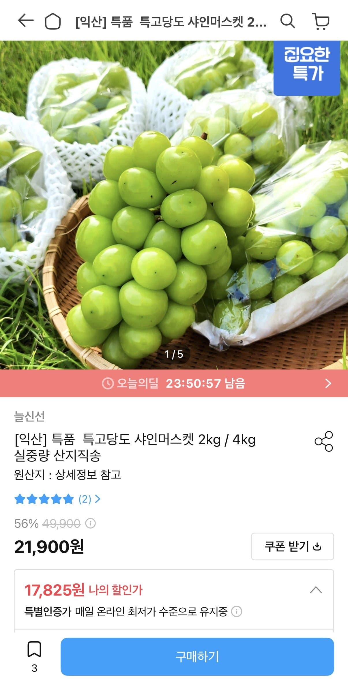 [오늘의집]농협 특품 샤인머스캣 2kg 3~4수 (17,825원/무료)